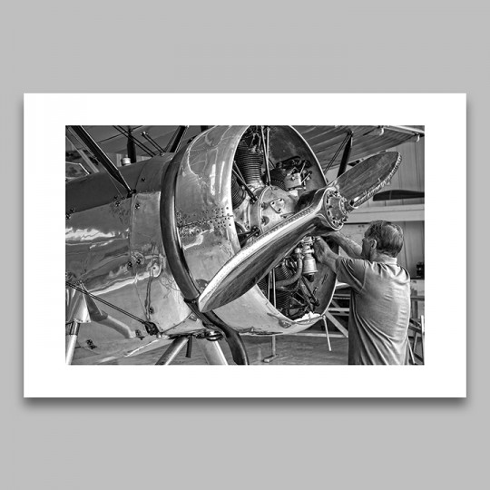 1931 Auro Tutor Limited Edition Print